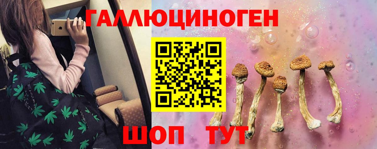 Избербаш  Галлюциногенные грибы Psilocybine cubensis  Вход с VPN 