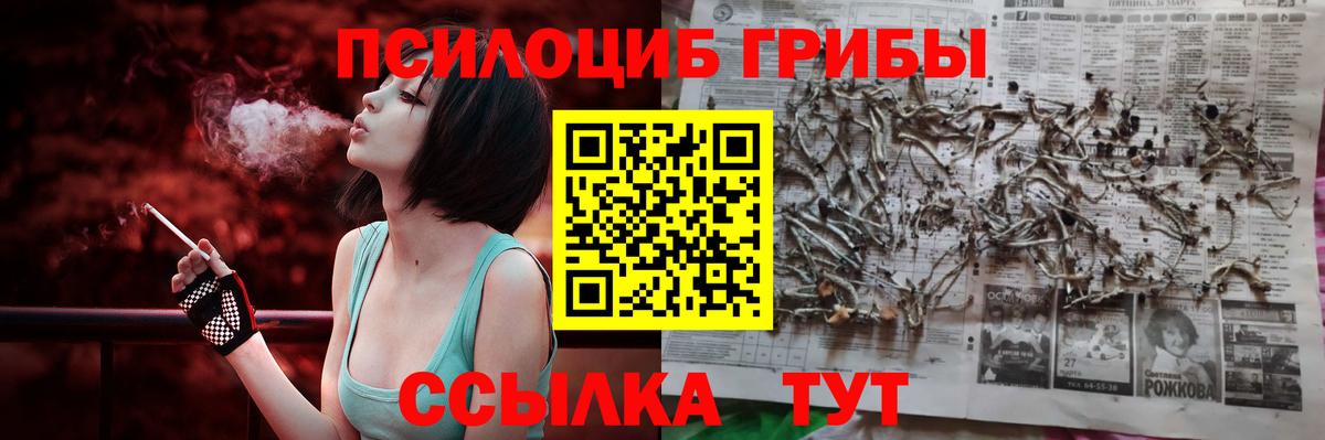 Псилоцибиновые грибы Psilocybine cubensis Избербаш